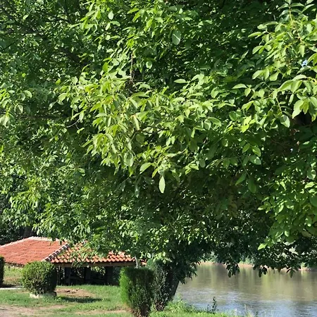 Morava 54 Kocino Selo