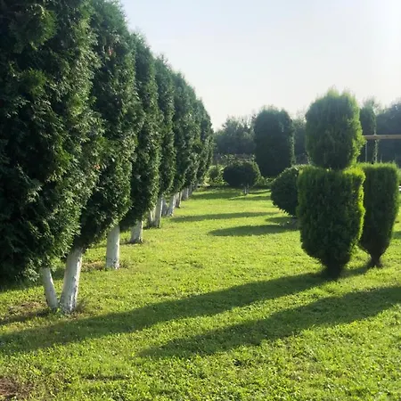 Morava 54 Kocino Selo